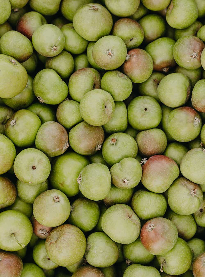 Rausch Swiss Apple Anti Pollution Peel Shampoo 100ml