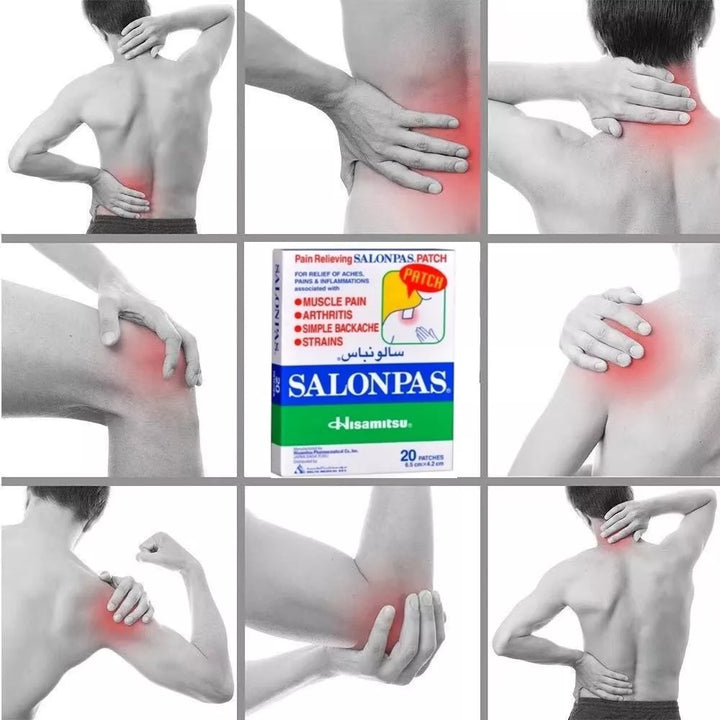 Salonpas Pain Relief Patch 20Pcs