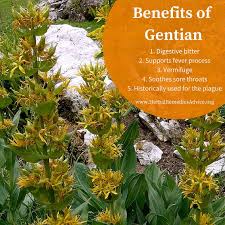 سينوبريت 50 قرص