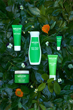 Skin Food