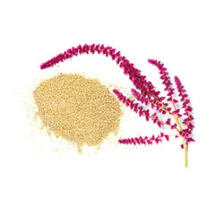 Rausch Chamomile-Amaranth repair Shampoo 200ML