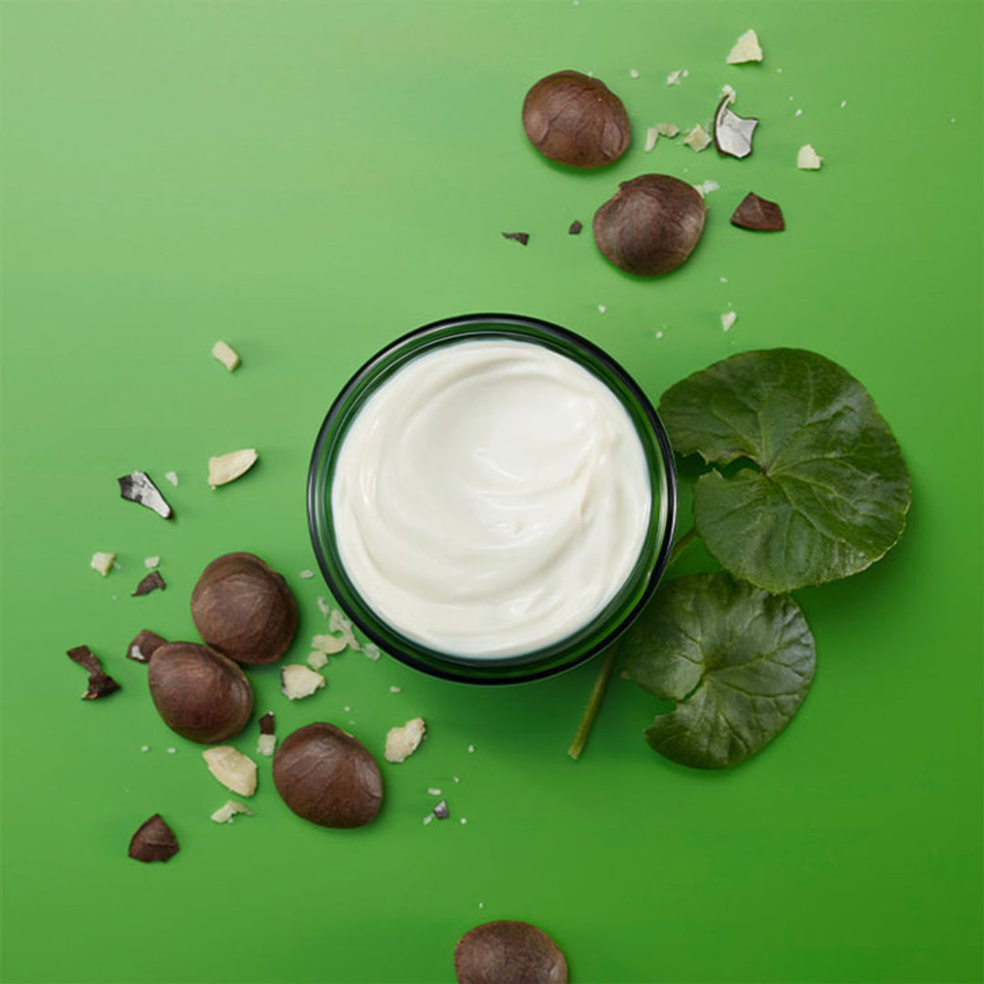 Weleda Skin Food Nourishing Night Cream 40ml