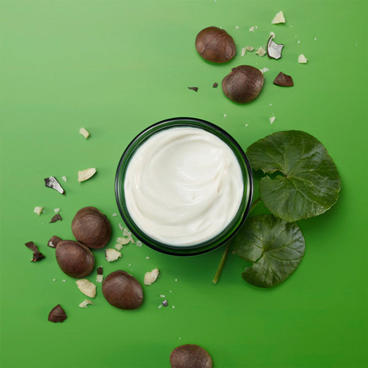 Weleda Skin Food Nourishing Night Cream 40ml