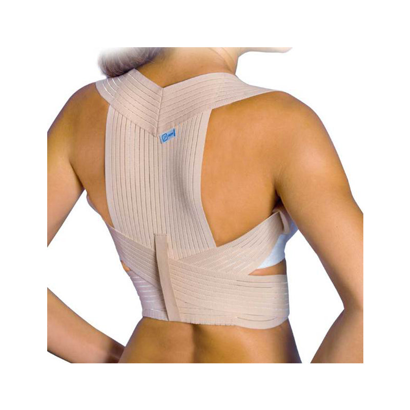 Prim Shoulder Support 335 L-ihealthuae